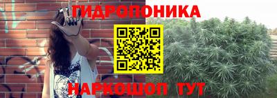 СК Пушкино